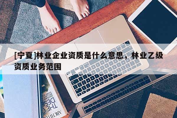 [寧夏]林業(yè)企業(yè)資質是什么意思，林業(yè)乙級資質業(yè)務范圍
