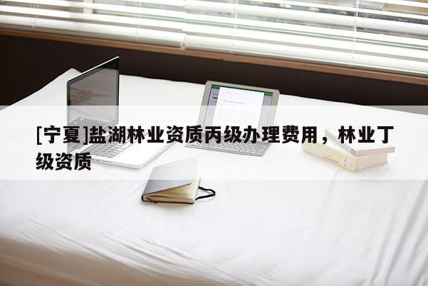 [寧夏]鹽湖林業(yè)資質(zhì)丙級辦理費用，林業(yè)丁級資質(zhì)