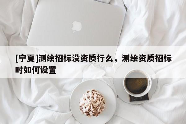 [寧夏]測繪招標沒資質行么，測繪資質招標時如何設置