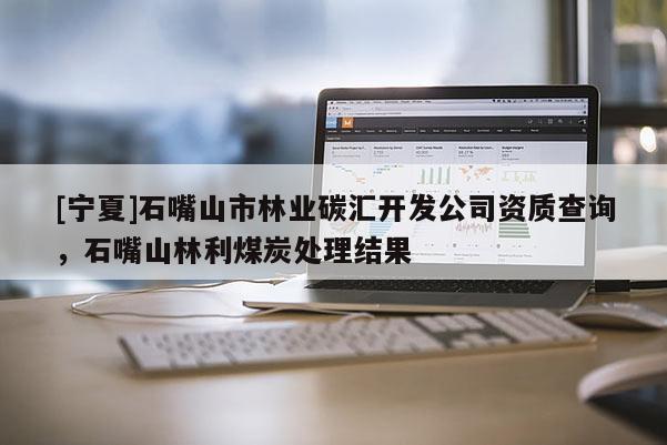 [寧夏]石嘴山市林業(yè)碳匯開發(fā)公司資質(zhì)查詢，石嘴山林利煤炭處理結(jié)果